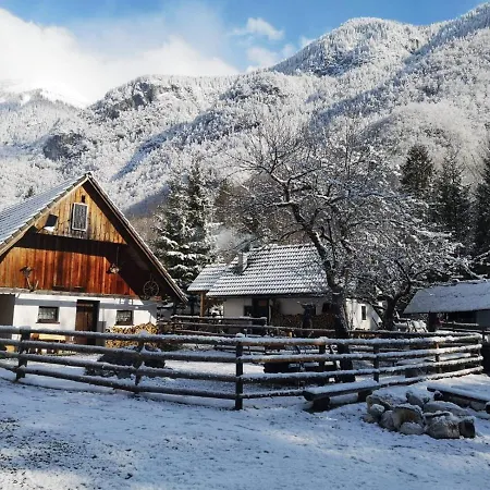 Lizina Hiska House Bohinj Bohinjska Bistrica