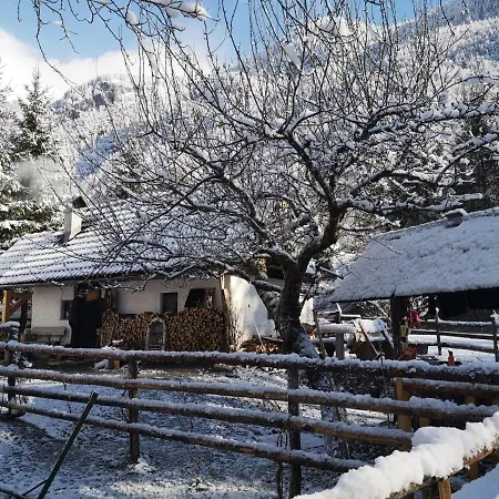 Lizina Hiska House Bohinj * Bohinjska Bistrica