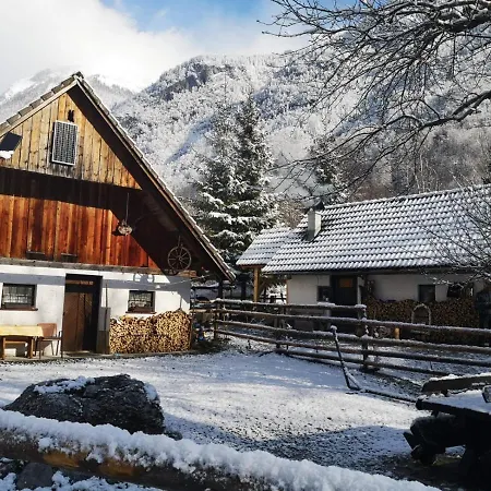 بيت للعطل Lizina Hiska House Bohinj بوهينيسكا بيستريكا