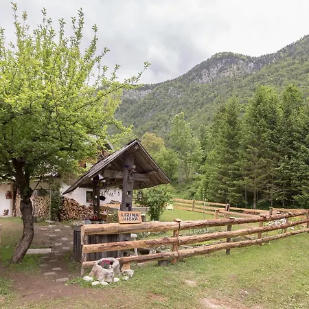 Lizina Hiska House Bohinj Prázdninový dům Bohinjska Bistrica
