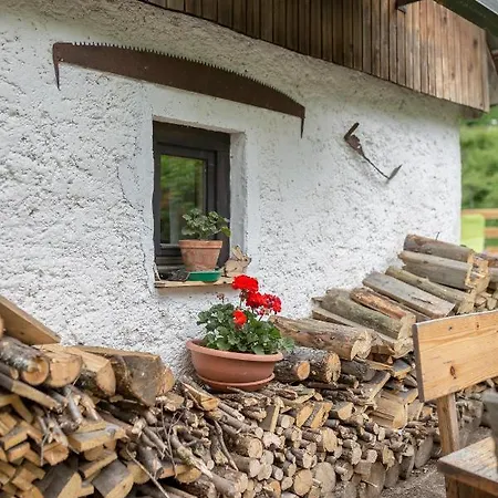 Dom wakacyjny Lizina Hiska House Bohinj Bohinjska Bistrica