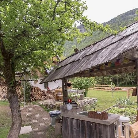 Lizina Hiska House Bohinj Bohinjska Bistrica