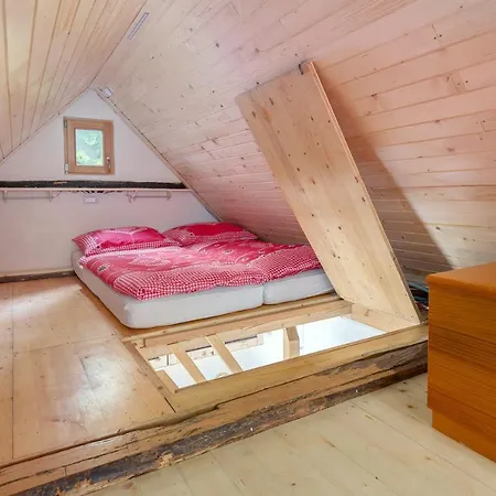 بيت للعطل Lizina Hiska House Bohinj *