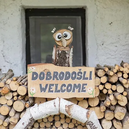 بيت للعطل Lizina Hiska House Bohinj *