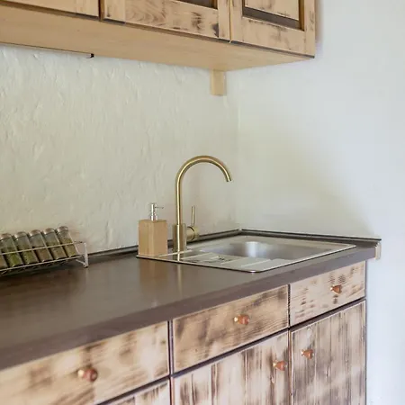 Lizina Hiska House Bohinj Dom wakacyjny Bohinjska Bistrica