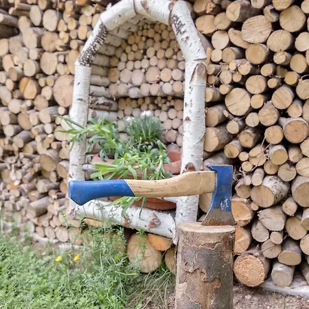 Lizina Hiska House Bohinj بيت للعطل *