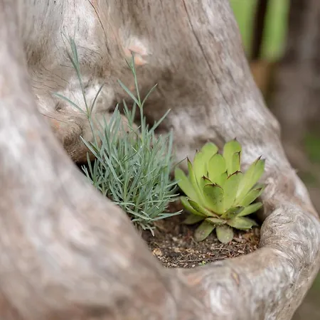 Lizina Hiska House Bohinj