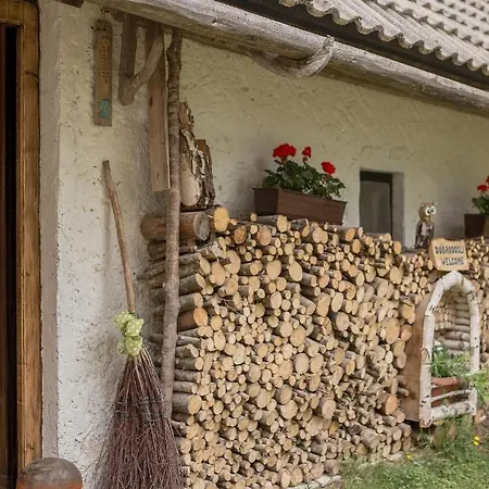 بيت للعطل Lizina Hiska House Bohinj *