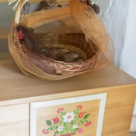 Lizina Hiska House Bohinj * بوهينيسكا بيستريكا