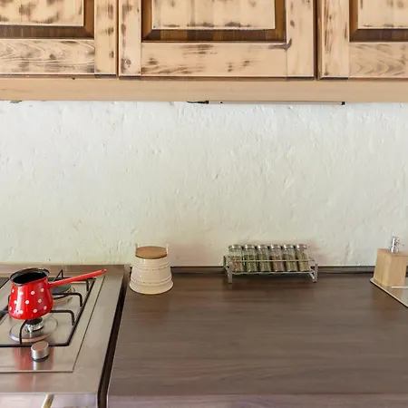 Lizina Hiska House Bohinj Σπίτι διακοπών *