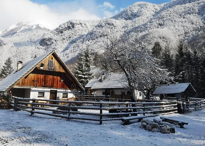 Lizina Hiska House Bohinj بوهينيسكا بيستريكا