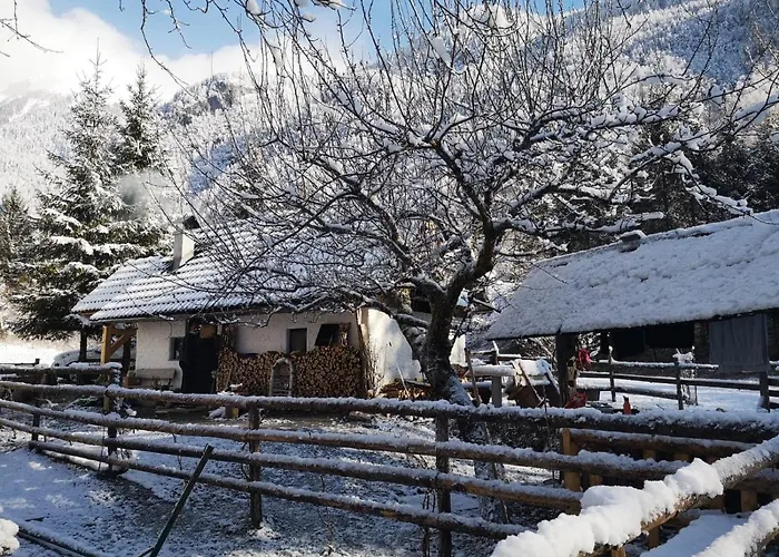 Lizina Hiska House Bohinj * بوهينيسكا بيستريكا