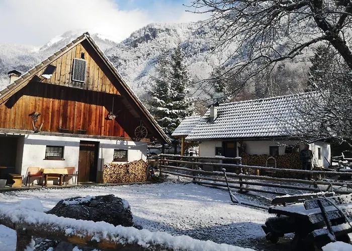 بيت للعطل Lizina Hiska House Bohinj بوهينيسكا بيستريكا