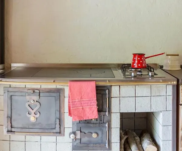 بيت للعطل Lizina Hiska House Bohinj *