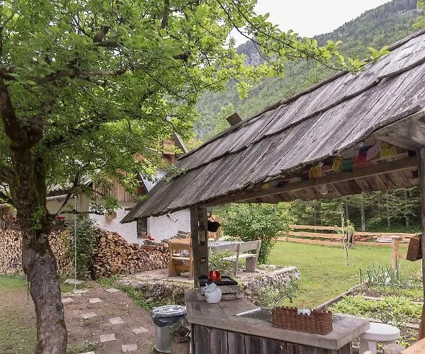 Lizina Hiska House Bohinj بوهينيسكا بيستريكا