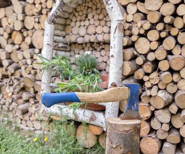 Lizina Hiska House Bohinj بيت للعطل *