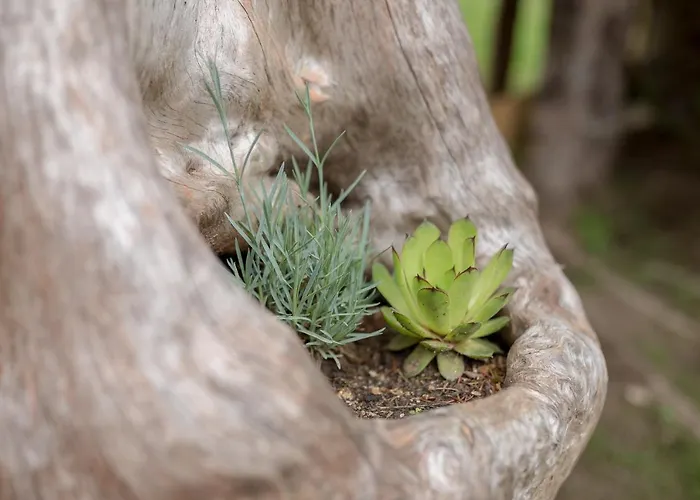Lizina Hiska House Bohinj