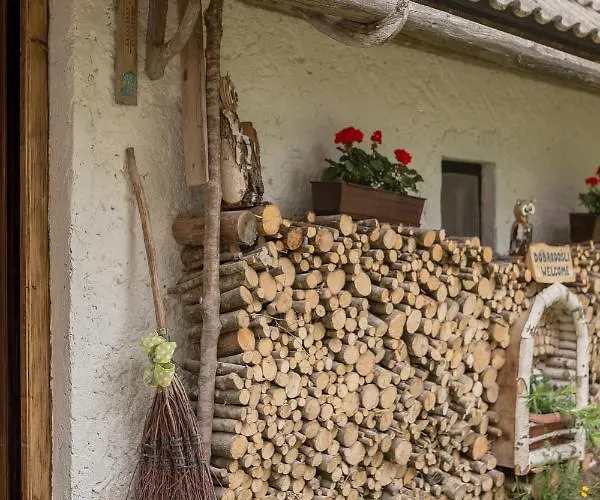 بيت للعطل Lizina Hiska House Bohinj *