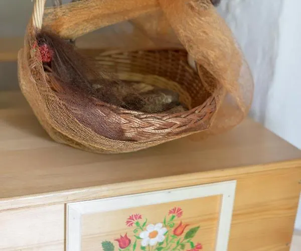 Lizina Hiska House Bohinj * بوهينيسكا بيستريكا